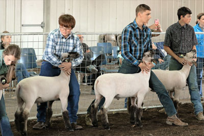 Agriculture Events